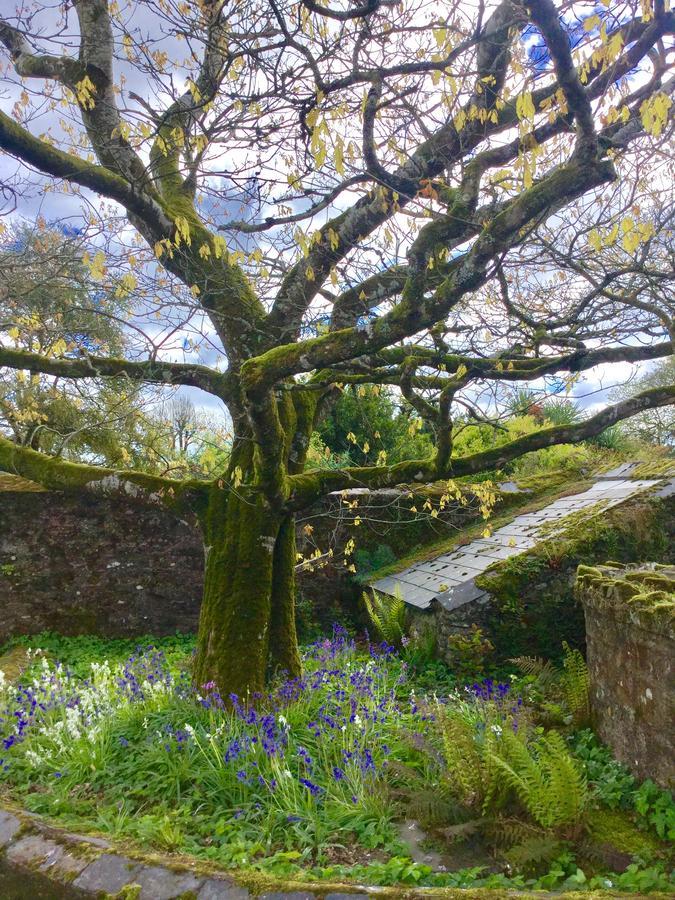 Willowhill House Minane Bridge Exteriör bild